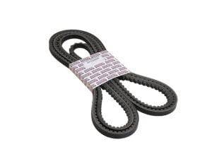 01/124405 Jcb BHL Fan Belt