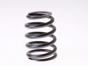 02/202934 Valve Spring JCB