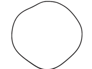 O Ring JCB Part NO 333/C8837